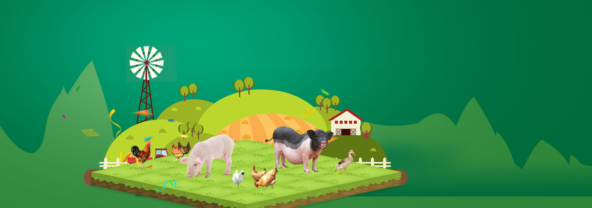 中国尊龙养殖成本更低、更赚钱，做高性价比饲料领导者